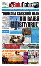 BOLU NABIZ